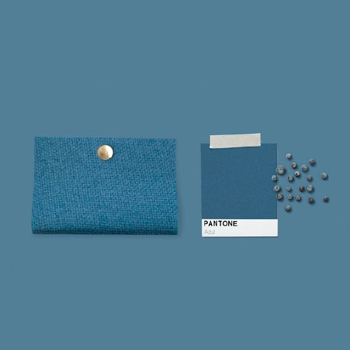 Colors Pantone de l'any.