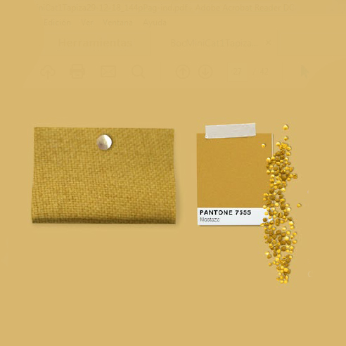 Colors Pantone de l'any.